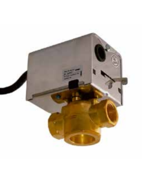 Válvula 2 vías motorizada principal